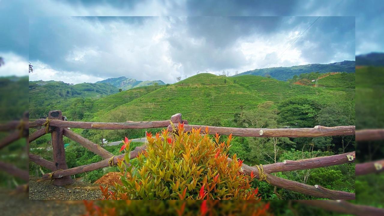 Hill Monk - Bethany Heights Vagamon Esterno foto